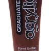 Akrylfärg Graduate 120ml bränd umbra