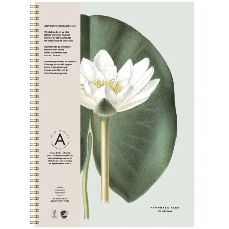 Anteckningsblock A4 linjerad Vit näckros