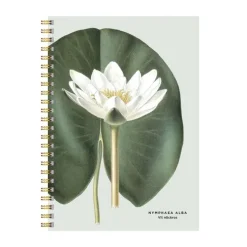 Anteckningsblock A5 linjerad Vit Näckros