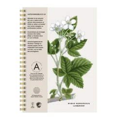 Anteckningsblock A5 linjerad björnbär