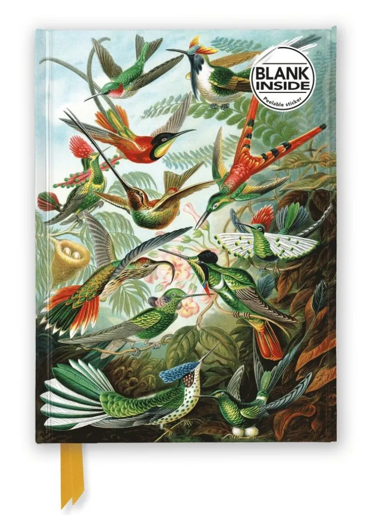 Anteckningsbok A5 olinjerad - Ernst Haeckel : Hummingbirds