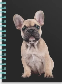 Anteckningsbok A6 wire-o linjerad Hund