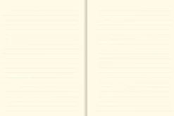 Anteckningsbok 22x17cm - Moonlit Aspen