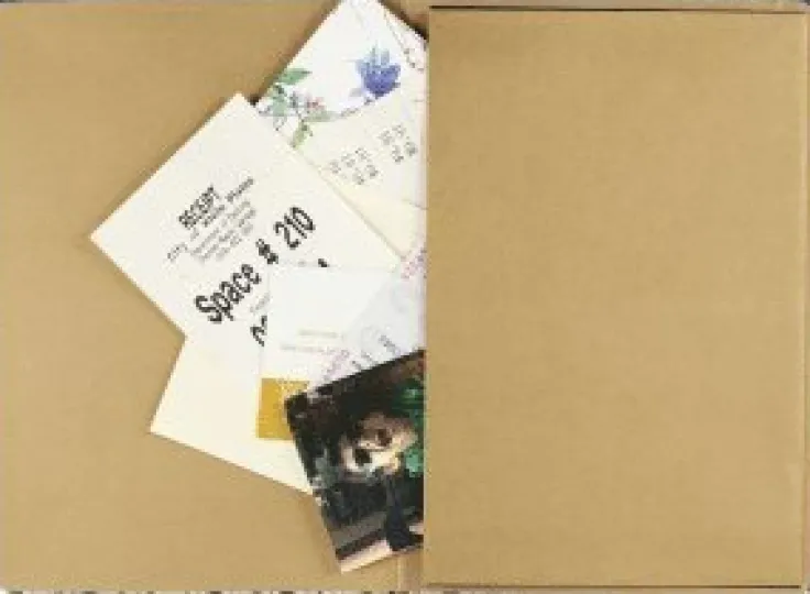 Anteckningsbok 18x13cm linjerad Falling Blossoms