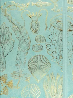 Anteckningsbok 21x16cm linjerad Sealife