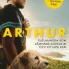Arthur : gatuhunden som lämnade djungeln och hittade hem