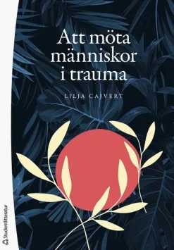 Att möta människor i trauma : hur kan vi bemöta traumadrabbade individer?