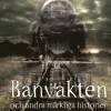 Banvakten och andra märkliga historier