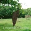 Behandlings-Fri Biodling