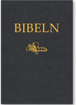 Bibeln SFB 2015, kompakt, svart cabraskinn
