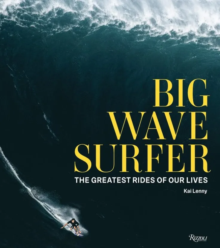 Big Wave Surfer