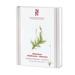 Bladmossor : sköldmossor - blåmossor. Bryophyta : buxbaumia - leucobryum