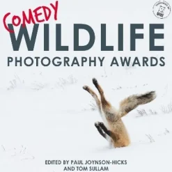 Comedy Wildlife Photography Awards