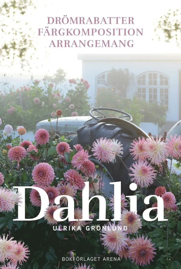 Dahlia : drömrabatter, färgkomposition och arrangemang