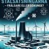 De norrländska stålsatsningarna - Frälsare eller gökunge