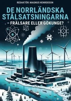 De norrländska stålsatsningarna - Frälsare eller gökunge