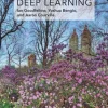 Deep Learning