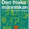 Den friska människan : Anatomi och fysiologi