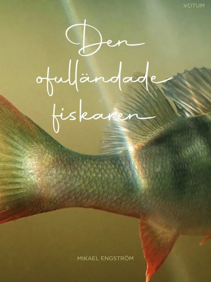 Den ofulländade fiskaren