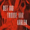 Det jag trodde var kärlek : en bok om psykiskt våld