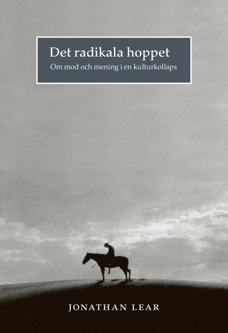 Det radikala hoppet : om mod och mening i en kulturkollaps