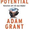 Din dolda potential : konsten att nå nya höjder
