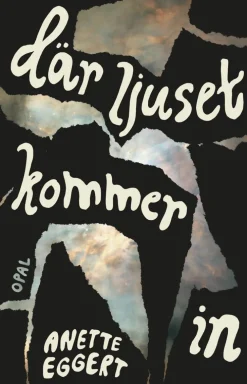 Där ljuset kommer in