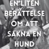 En liten berättelse om att sakna en hund