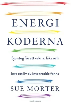 Energikoderna : sju steg för att vakna, läka och leva ett liv du inte trodde fanns