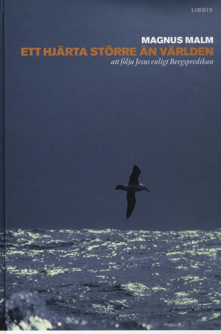 Ett hjärta större än världen : att följa Jesus enligt bergspredikan
