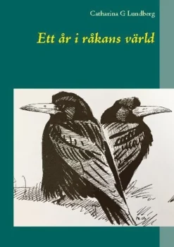 Ett år i råkans värld