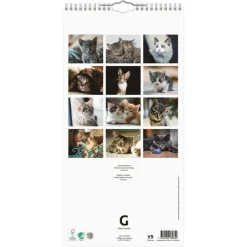Familjekalender 2026 Katter
