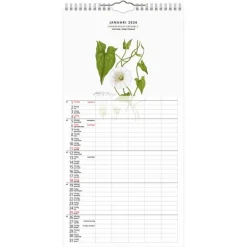 Familjekalender 2026 Växter