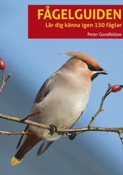 Fågelguiden : lär dig känna igen 150 fåglar
