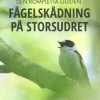 Fågelskådning på Storsudret