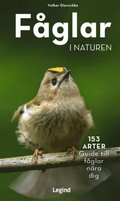 Fåglar i naturen : 153 arter, guide till fåglar nära dig