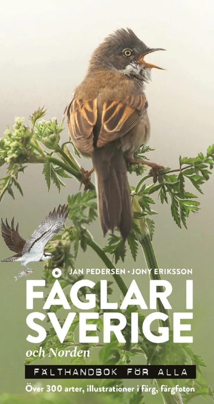 Fåglar i Sverige och Norden : fälthandbok för alla
