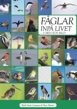 Fåglar inpå livet : i ord och bild