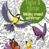 Fåglar och fjärilar : måla med siffror