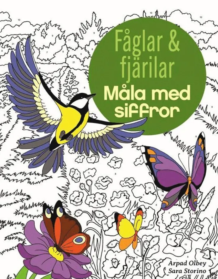 Fåglar och fjärilar : måla med siffror