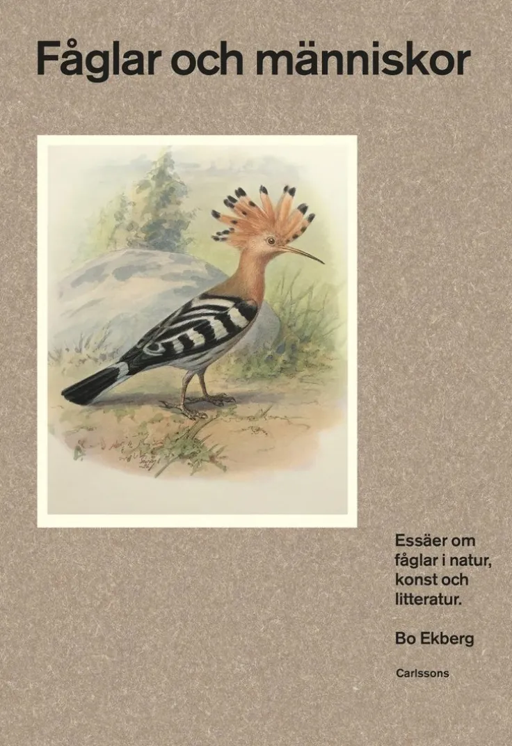 Fåglar och människor : essäer om fåglar i natur, konst och litteratur