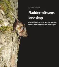 Fladdermössens landskap
