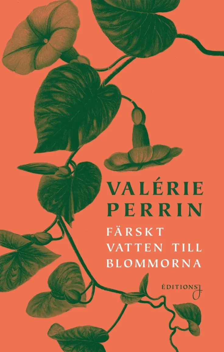 Färskt vatten till blommorna