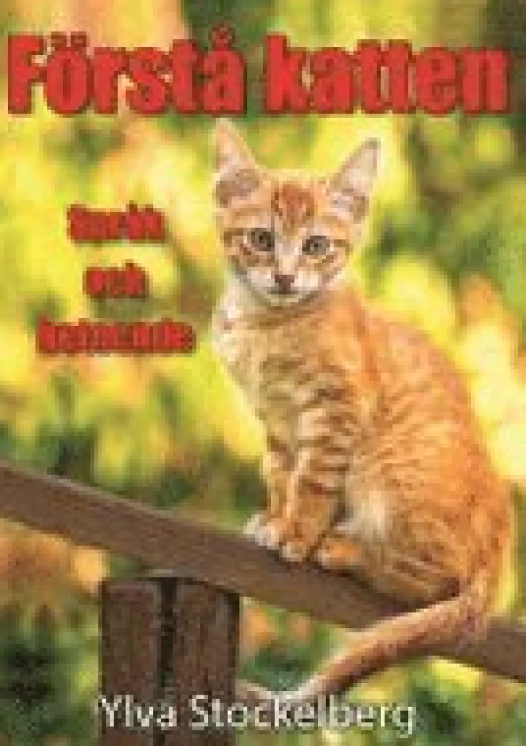 Förstå katten : språk och beteende