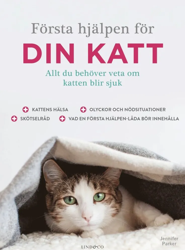 Första hjälpen för din katt