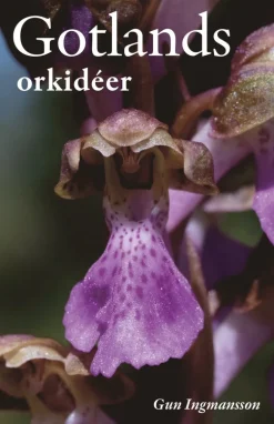 Gotlands orkidéer