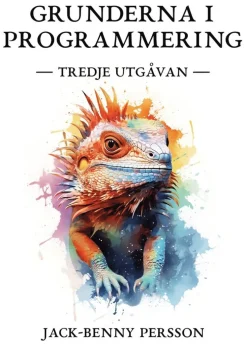 Grunderna i programmering