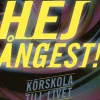 Hej ångest! : körskola till livet