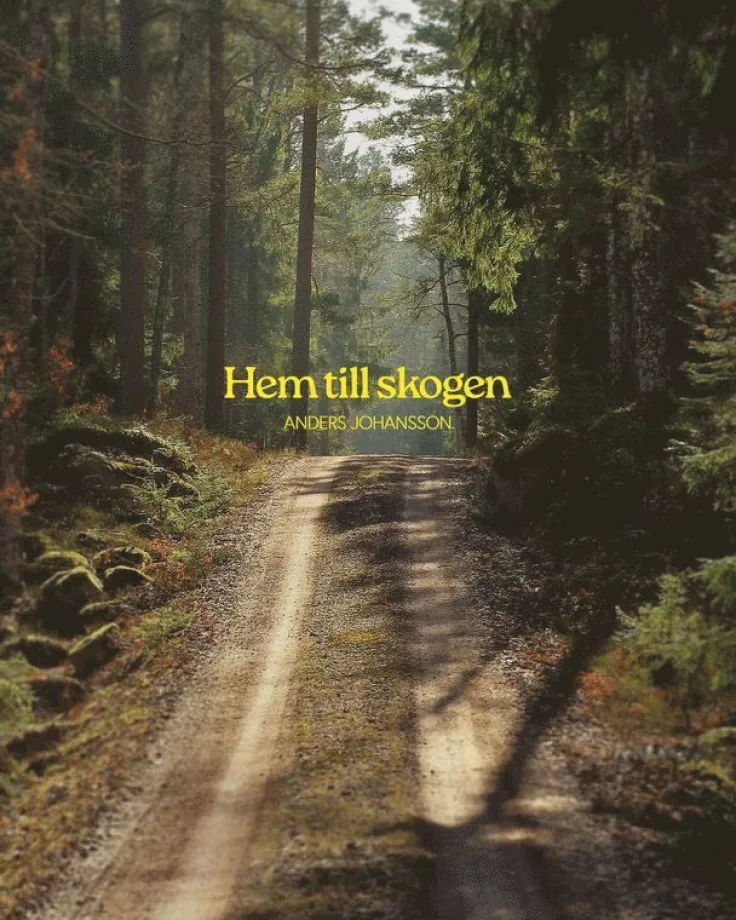 Hem till skogen