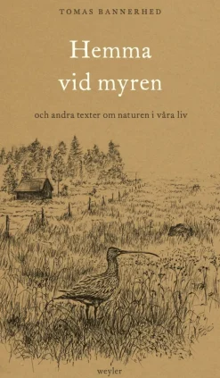 Hemma vid myren : och andra texter om naturen i våra liv